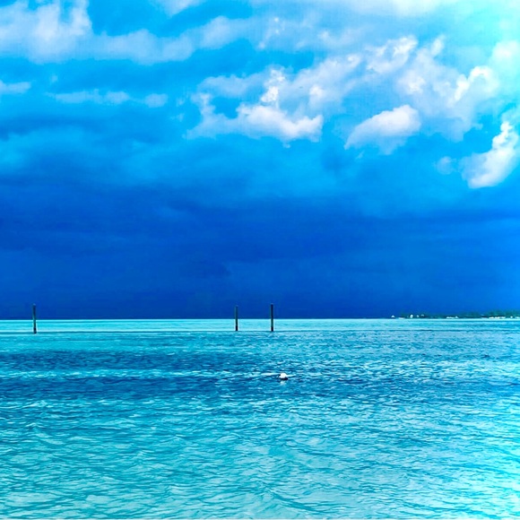 Meet your Posher, Dax - Picture 13 of 16